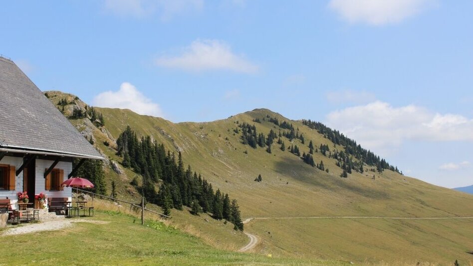Wanderung Auf Bodenalm, Waxenegg und Donnerwand im Naturpark Mürzer Oberland - Touren-Impression #2.8 | © Alpenverein Edelweiss