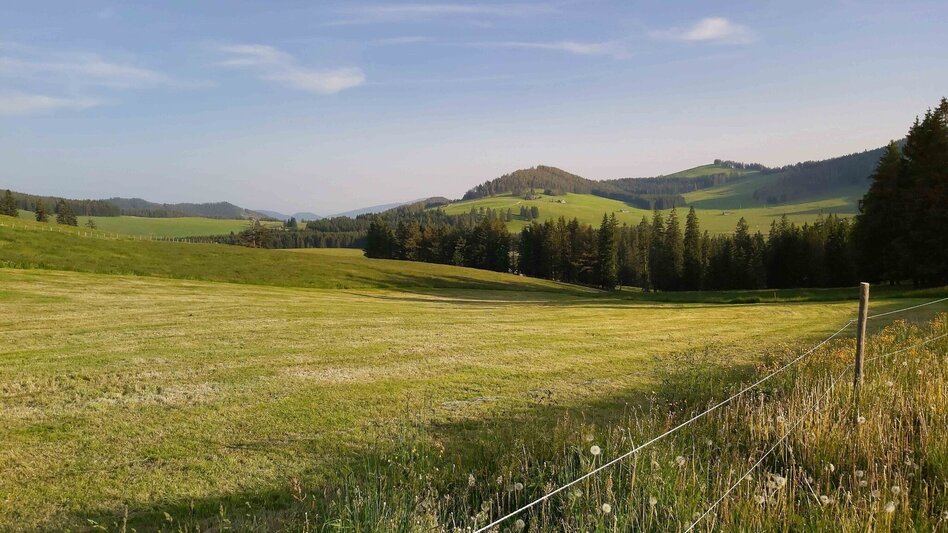 Wanderung Gerlerkogel, Teichalm - Touren-Impression #2.1 | © Oststeiermark Tourismus