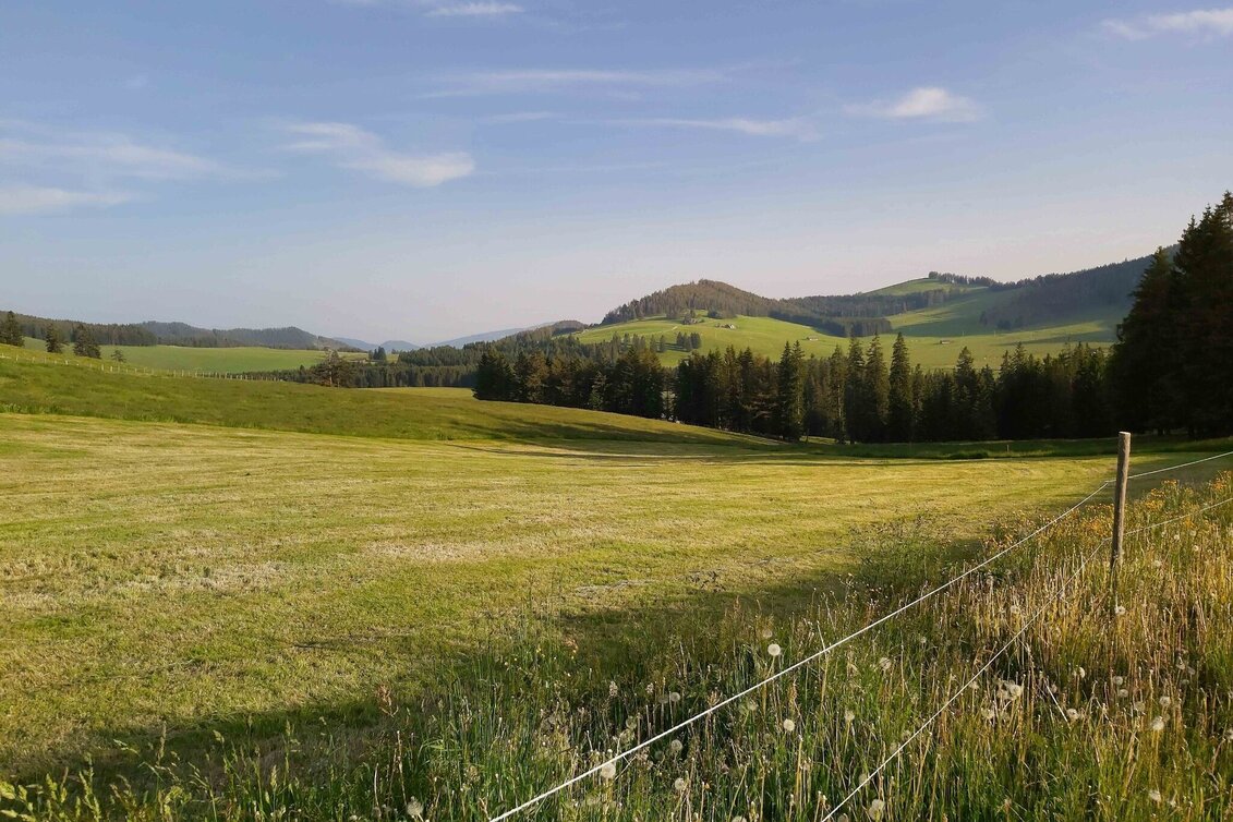 Wanderung Gerlerkogel, Teichalm - Touren-Impression #1 | © Oststeiermark Tourismus