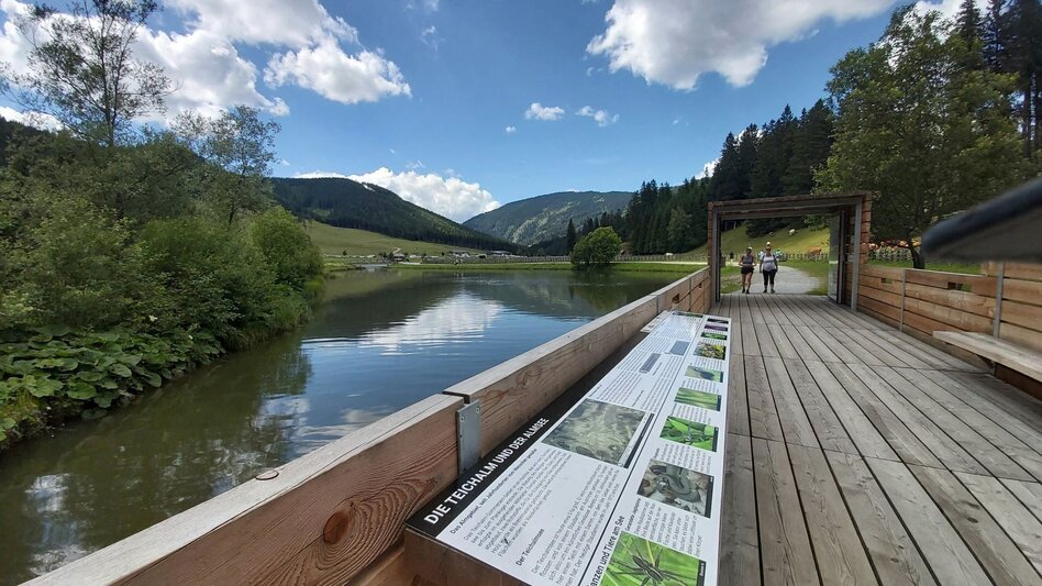 Wanderung Gerlerkogel, Teichalm - Touren-Impression #2.4 | © Oststeiermark Tourismus