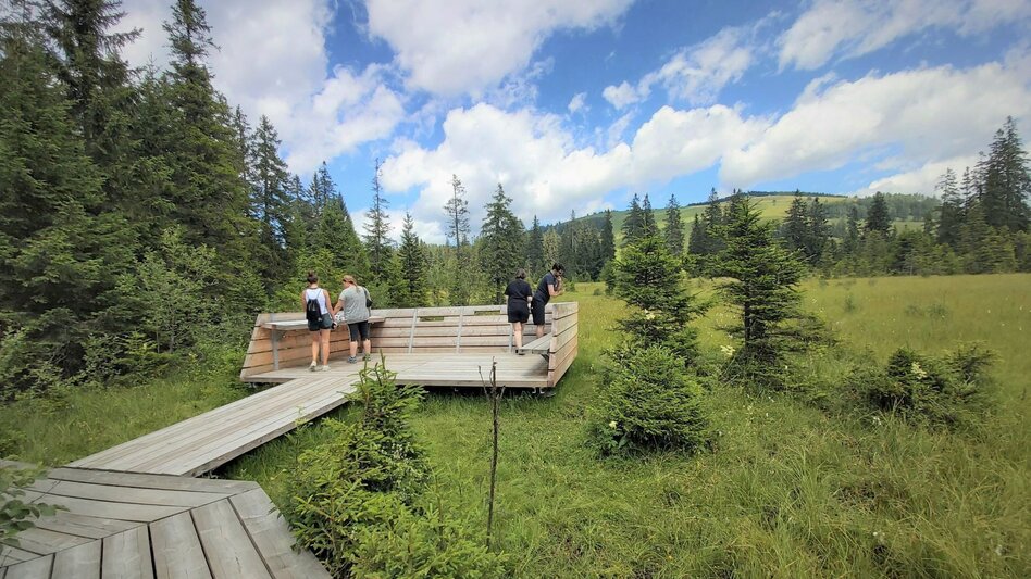Wanderung Gerlerkogel, Teichalm - Touren-Impression #2.5 | © Oststeiermark Tourismus