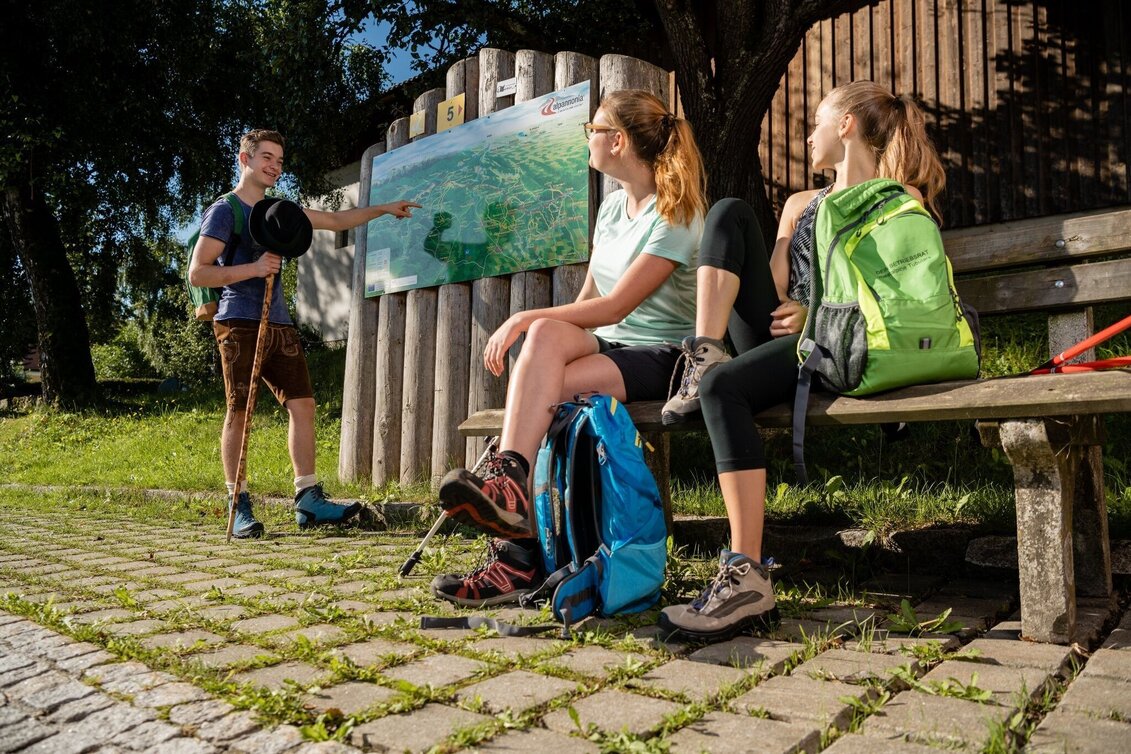 Hiking Route alpannonia circular trail - recharge your batteries, St. Jakob im Walde - Touren-Impression #1 | © Oststeiermark Tourismus