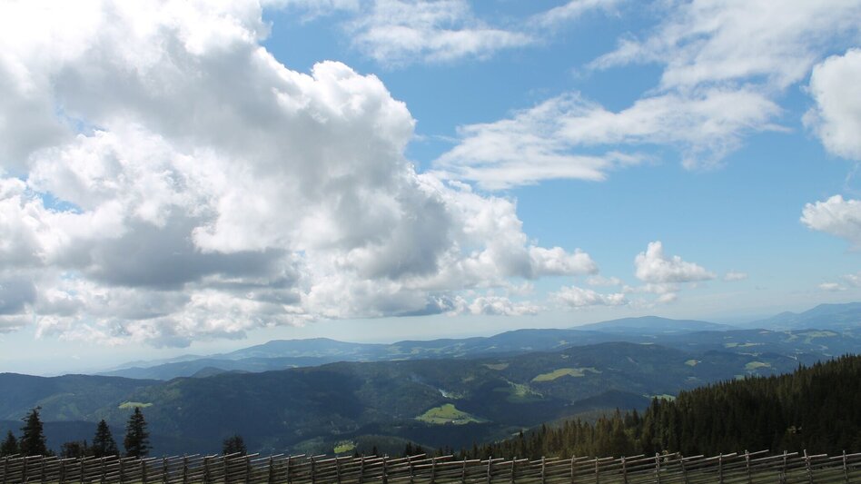 Hiking Route alpannonia Rundweg - hoch hinaus, Rettenegg - Touren-Impression #2.10 | © Region Joglland - Waldheimat