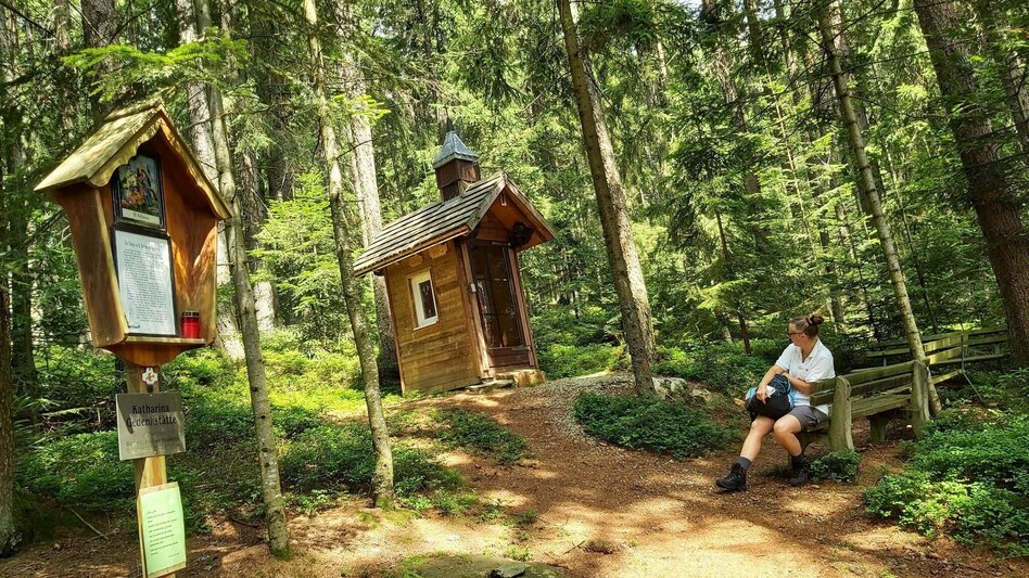 Hiking Route alpannonia circular route - in Peter Rosegger's footsteps, St. Kathrein am Hauenstein - Touren-Impression #2.4 | © Oststeiermark Tourismus