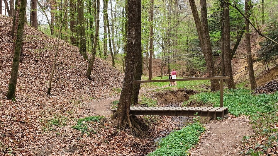 Hiking Route Steinbachklamm - way back via Neudorfberg - Touren-Impression #2.5 | © Oststeiermark Tourismus