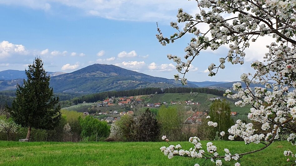 Hiking Route Steinbachklamm - way back via Neudorfberg - Touren-Impression #2.7 | © Oststeiermark Tourismus
