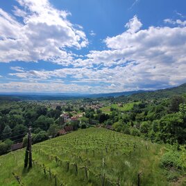 Weinbergwarte_Aussicht.jpg | © TVB Südsteiermark/Irene Löschnig