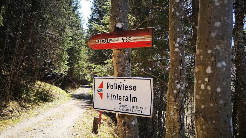 Wanderung Über die Rosswiese auf den Spielkogel im Naturpark Mürzer Oberland - Touren-Impression #2.2 | © TV Hochsteiermark
