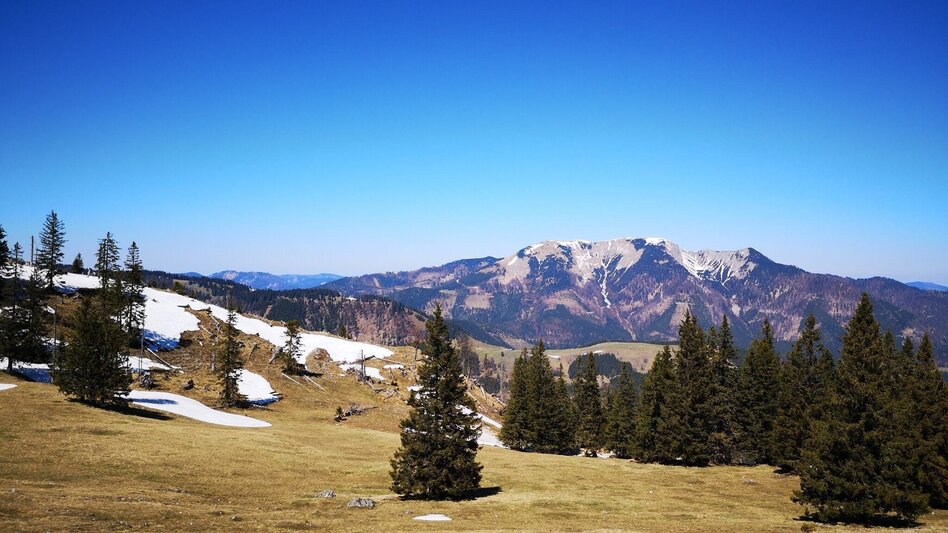 Wanderung Über die Rosswiese auf den Spielkogel im Naturpark Mürzer Oberland - Touren-Impression #2.4 | © TV Hochsteiermark