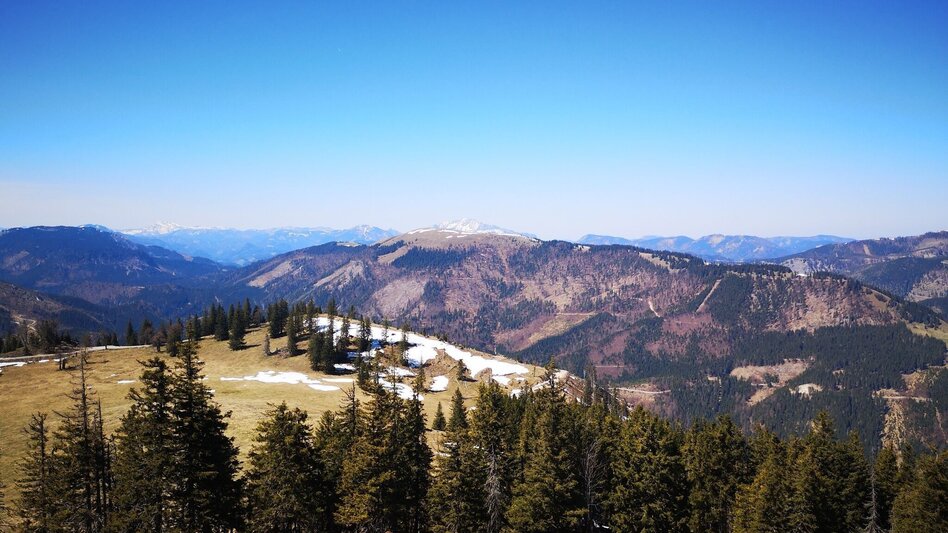 Wanderung Über die Rosswiese auf den Spielkogel im Naturpark Mürzer Oberland - Touren-Impression #2.5 | © TV Hochsteiermark