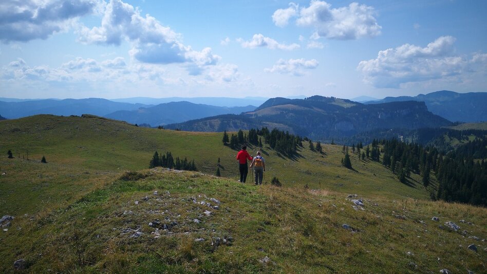 Wanderung Über die Rosswiese auf den Spielkogel im Naturpark Mürzer Oberland - Touren-Impression #2.6 | © TV Hochsteiermark
