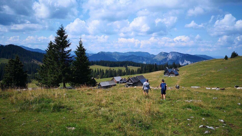 Wanderung Über die Rosswiese auf den Spielkogel im Naturpark Mürzer Oberland - Touren-Impression #2.7 | © TV Hochsteiermark