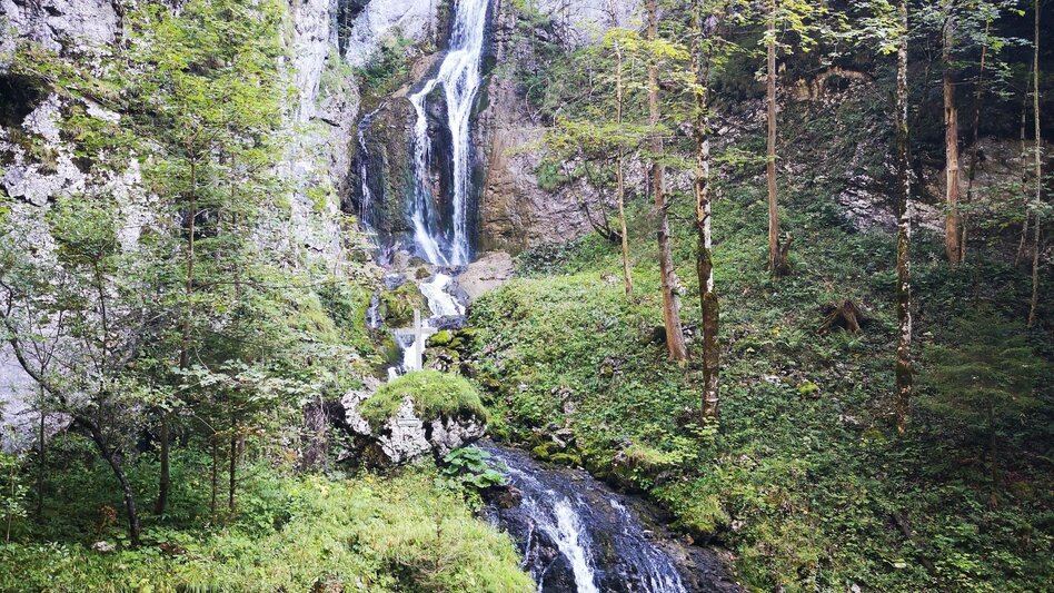 Wanderung Über die Rosswiese auf den Spielkogel im Naturpark Mürzer Oberland - Touren-Impression #2.8 | © TV Hochsteiermark