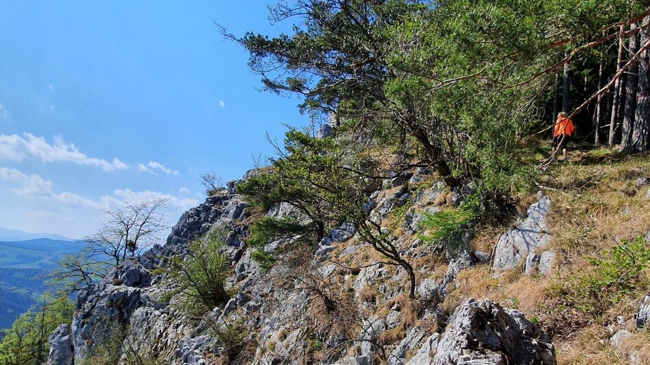 Hiking Route Gösser circular hiking trail - Touren-Impression #2.1 | © Oststeiermark Tourismus