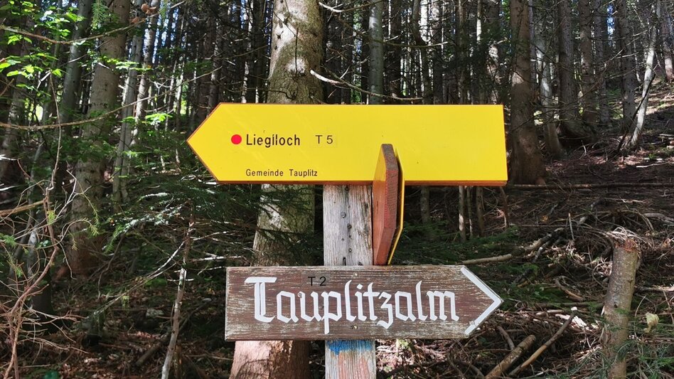 Wanderung Wanderung zum Lieglloch - Touren-Impression #2.4
