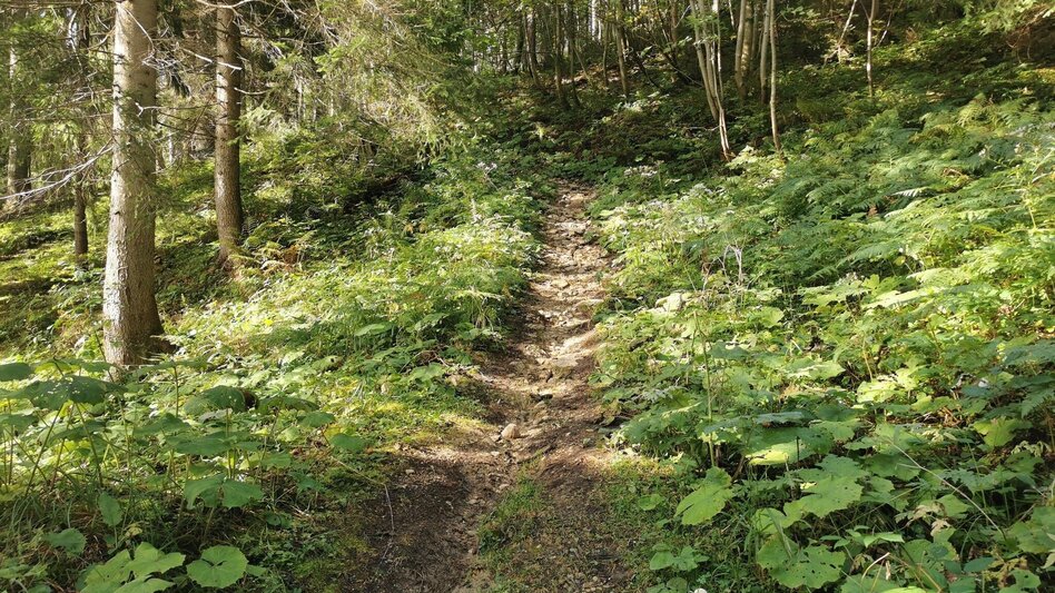 Wanderung Wanderung zum Lieglloch - Touren-Impression #2.6