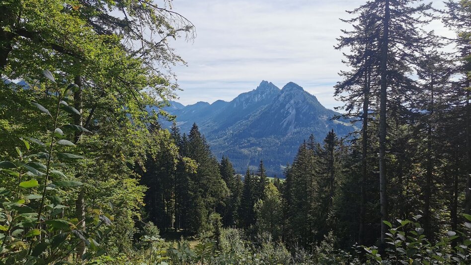 Wanderung Wanderung zum Lieglloch - Touren-Impression #2.11