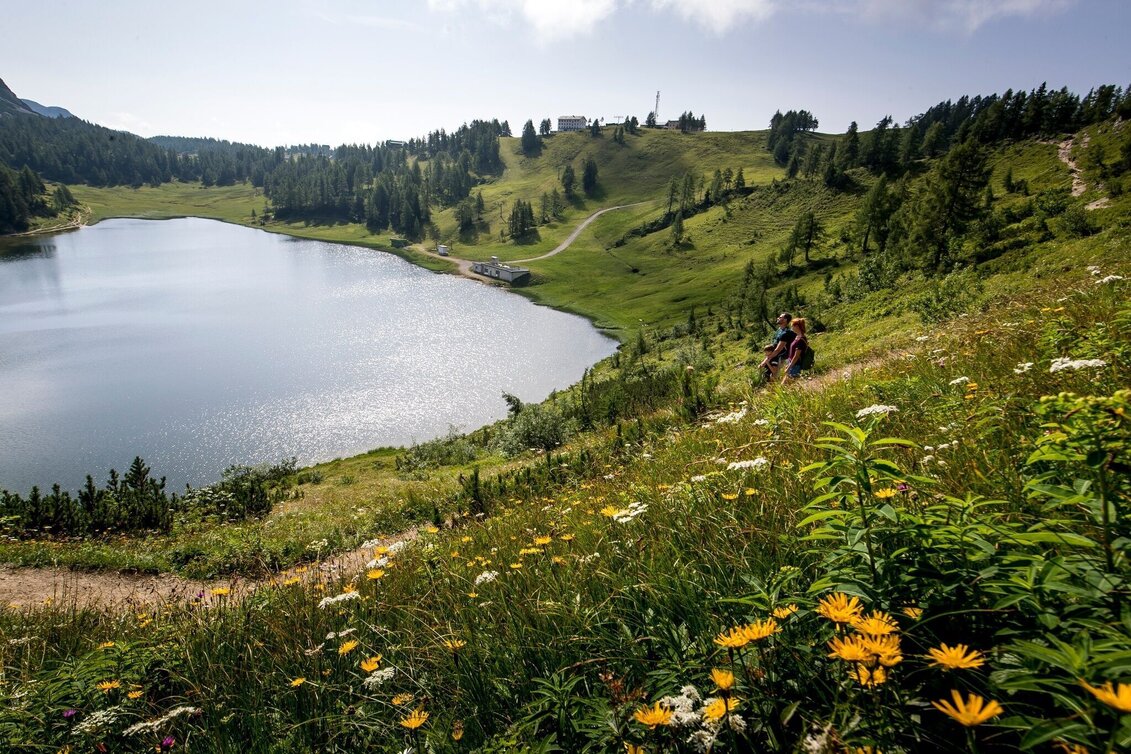 Wanderung Wanderung von der Tauplitzalm in die Ödernalm und Bad Mitterndorf - Touren-Impression #1 | © Ausseerland