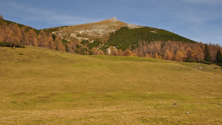 Hiking Route Hike from the Tauplitzalm to the Gnanitzalm - Touren-Impression #2.6 | © Ausseerland
