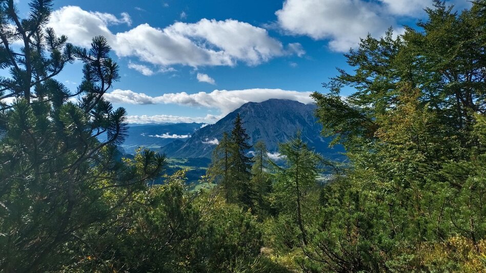 Wanderung Wanderung von der Tauplitzalm über das Niederblas nach Tauplitz - Touren-Impression #2.3 | © Ausseerland