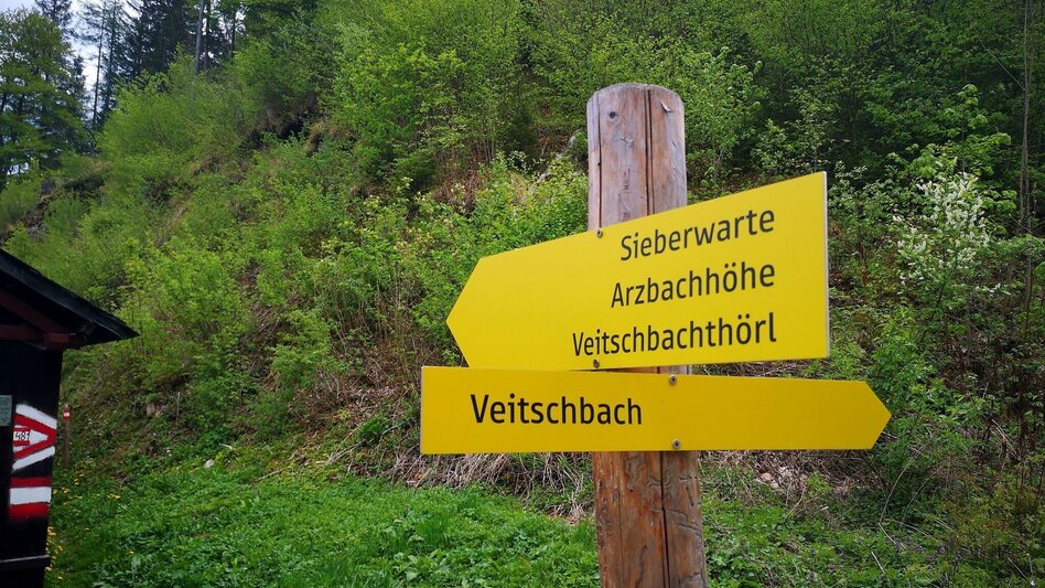 Hiking Route To the Hocheckalm in the Mürzer Oberland Nature Park - Touren-Impression #2.1 | © TV Hochsteiermark