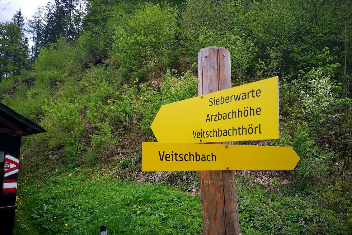 Hiking Route To the Hocheckalm in the Mürzer Oberland Nature Park - Touren-Impression #1 | © TV Hochsteiermark