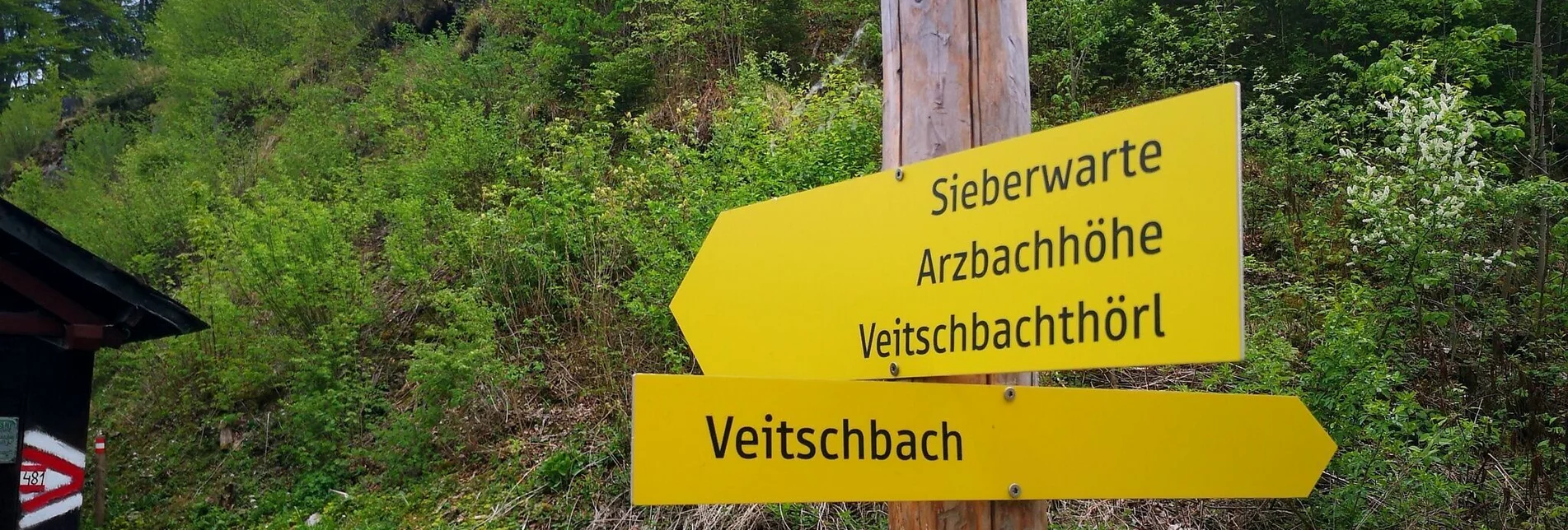 Hiking route Auf die Hocheckalm im Naturpark Mürzer Oberland - Touren-Impression #1 | © TV Hochsteiermark