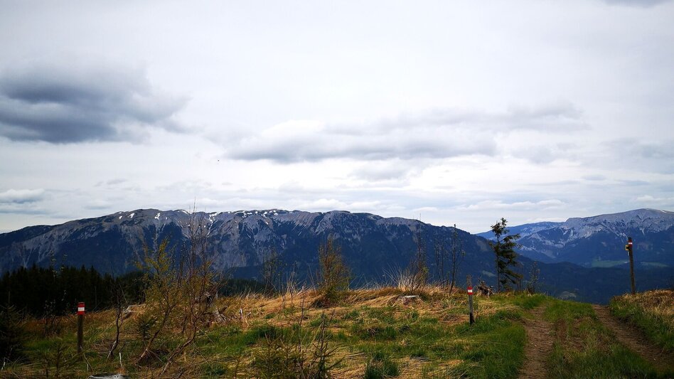 Hiking Route To the Hocheckalm in the Mürzer Oberland Nature Park - Touren-Impression #2.4 | © TV Hochsteiermark