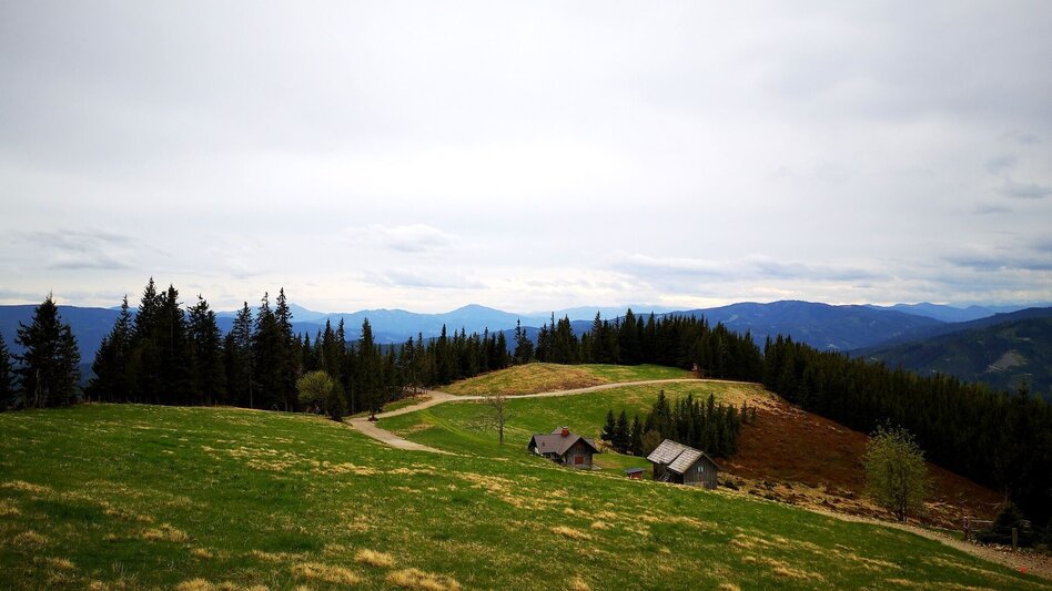Hiking Route To the Hocheckalm in the Mürzer Oberland Nature Park - Touren-Impression #2.6 | © TV Hochsteiermark