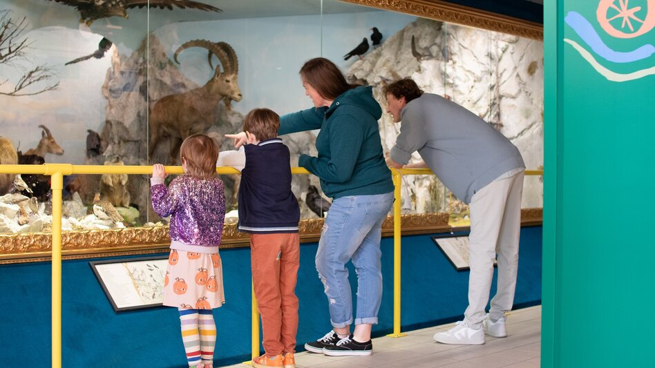 Hiking Route To the Hocheckalm in the Mürzer Oberland Nature Park - Touren-Impression #2.8 | © Naturpark Mürzer Oberland