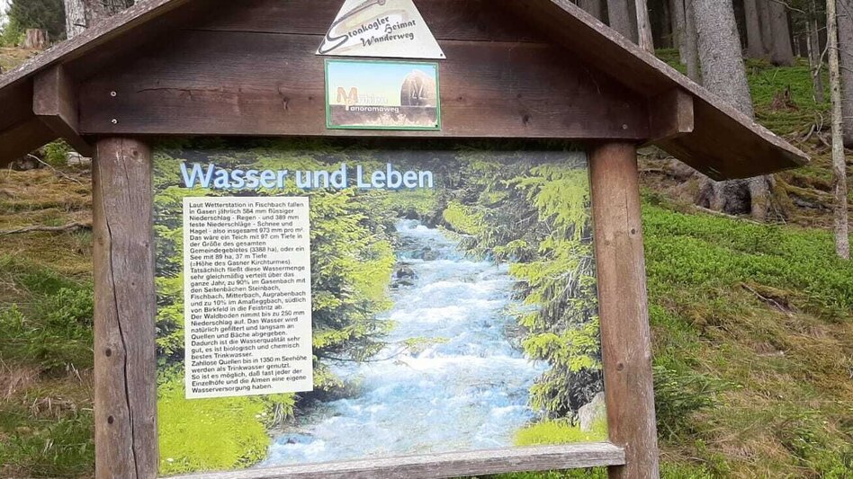 Wanderung Mühlenpanoramaweg, Gasen - Touren-Impression #2.4 | © Oststeiermark Tourismus