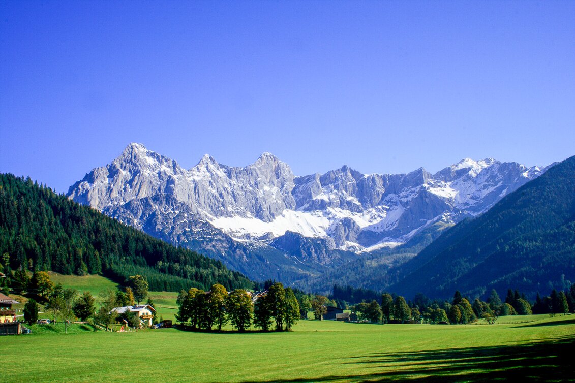 Panoramic Tours/Themed Routes 3 Country tour - Day tour - Touren-Impression #1 | © © Coen Weesjes