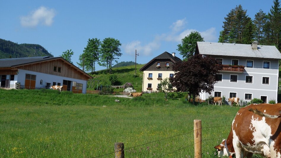 Wanderung Mariazeller AUGENblicke: Feldbauer - Touren-Impression #2.2 | © TV Hochsteiermark