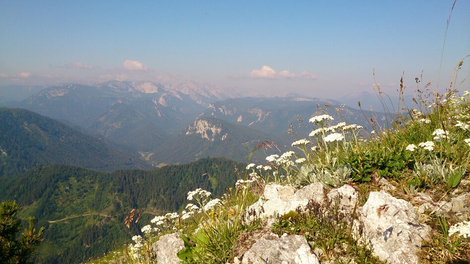 Wanderung Mariazeller AUGENblicke: Tonion - Touren-Impression #2.5 | © TV Hochsteiermark