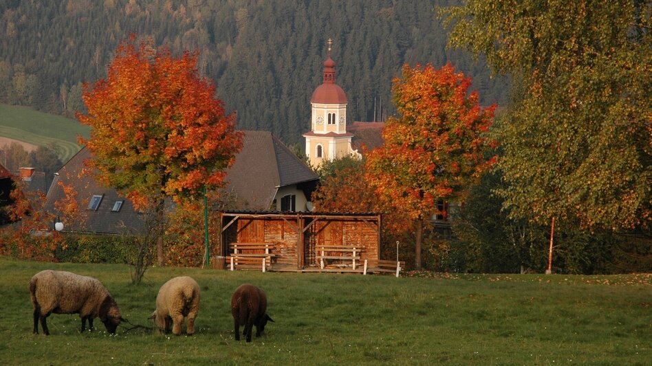 Wanderung Von Fischbach nach Birkfeld, Fischbach - Touren-Impression #2.3 | © Oststeiermark Tourismus