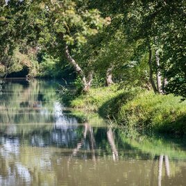 Au bei Fürstenfeld | © Thermen- & Vulkanland