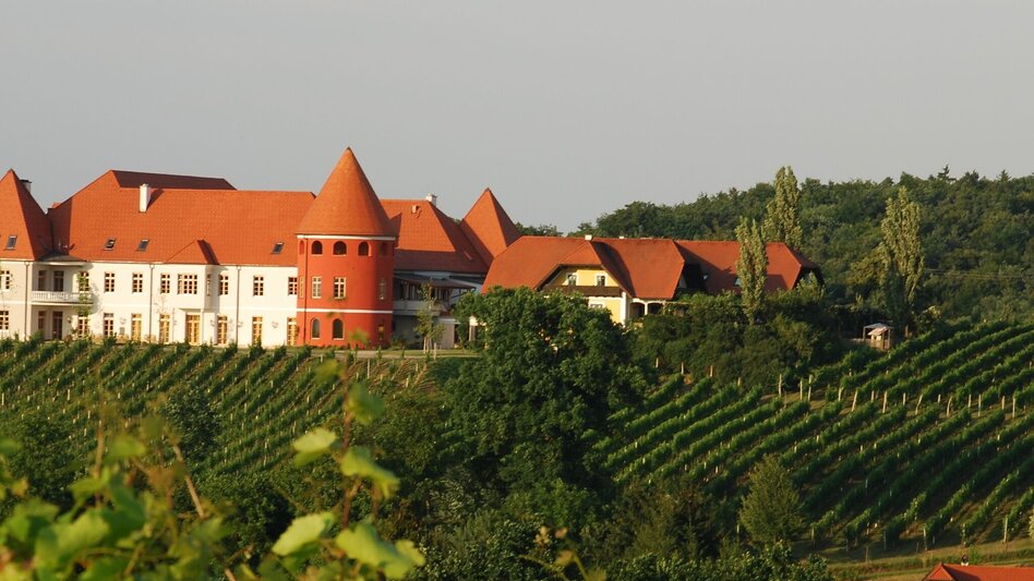 Cycling 4 Elemente Tour WASSER 1 im Thermen- & Vulkanland Steiermark - Touren-Impression #2.8 | © Schloss Weingut Thaller