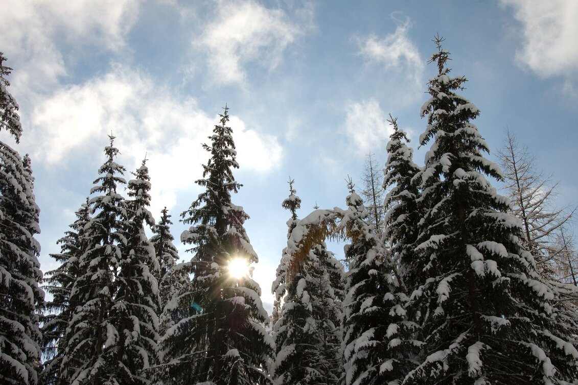 Winterwandern Hauserbergweg - Touren-Impression #1 | © © www.haus.at