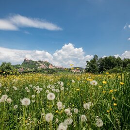 Sommerliche Radtour mit der Riegersburg im Hintergrund | © Thermen- & Vulkanland