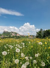 Sommerliche Radtour mit der Riegersburg im Hintergrund | © Thermen- & Vulkanland | Harald Eisenberger | © Thermen- & Vulkanland