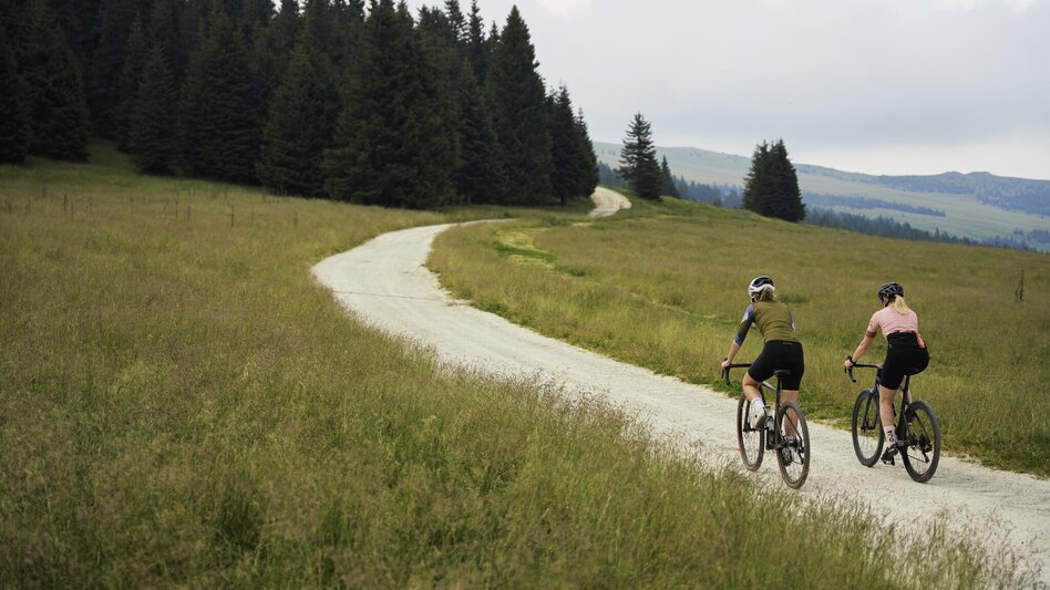 Mountainbike Der große Jogl - Startpunkt Miesenbach, Miesenbach - Touren-Impression #2.4 | © Markus Lang-Fotografie