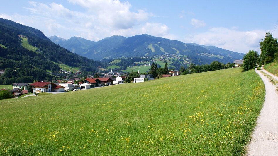 Jogging The Panorama Run - Touren-Impression #2.1 | © Gerhard Pilz - www.gpic.at