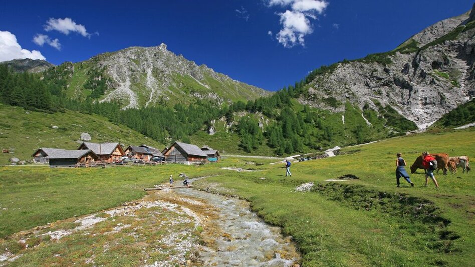 Mountain Hike 2-days-hike:  Giglachsee Tour - Touren-Impression #2.7 | © Tourismusverband Schladming - Herbert Raffalt