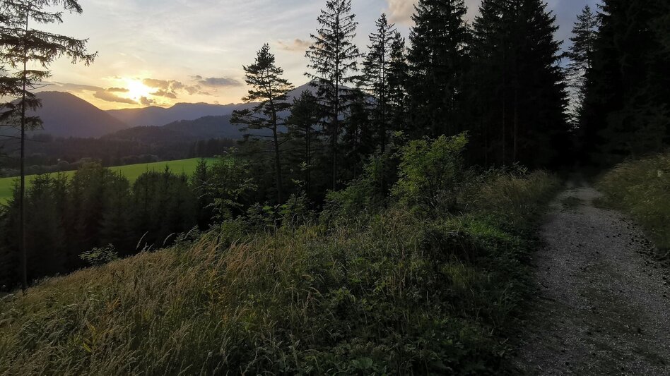 Wanderung Rosenkranzweg - Touren-Impression #2.5 | © TV Hochsteiermark