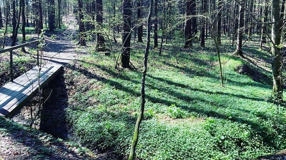 Wanderung Augustiner-Rundweg Fürstenfeld - Touren-Impression #2.6 | © Thermen- & Vulkanland