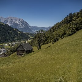 20250808_Aigen-Gatschberg-Donnersbach_4020.jpg | © Gerhard Pilz