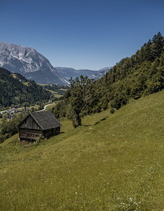 20250808_Aigen-Gatschberg-Donnersbach_4020.jpg | Gerhard Pilz | © Gerhard Pilz