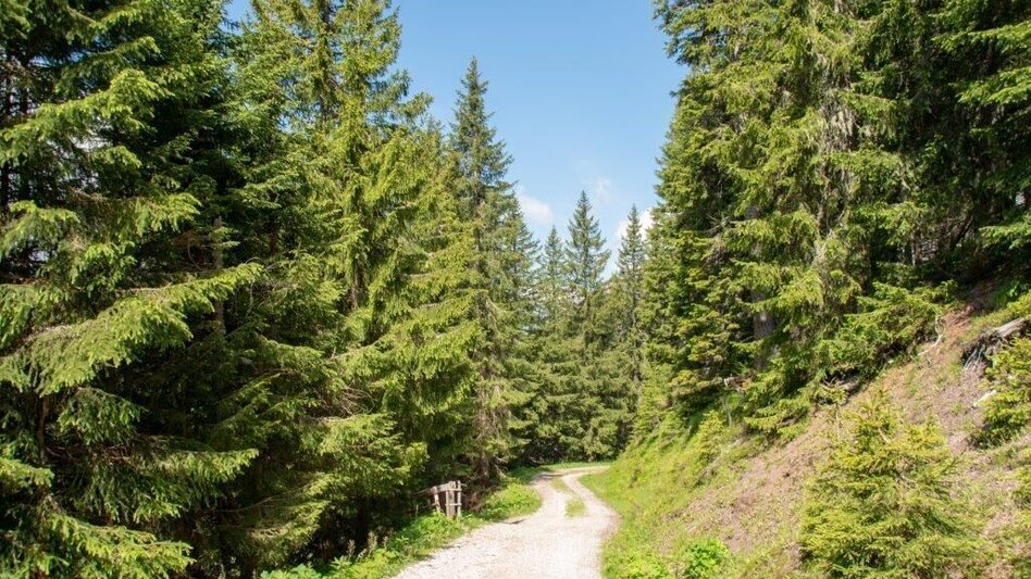 Hiking Route Kaiserau-Klinkehütte - Lahngang-Wagenbänkrunde - Touren-Impression #2.5 | © TV Gesäuse