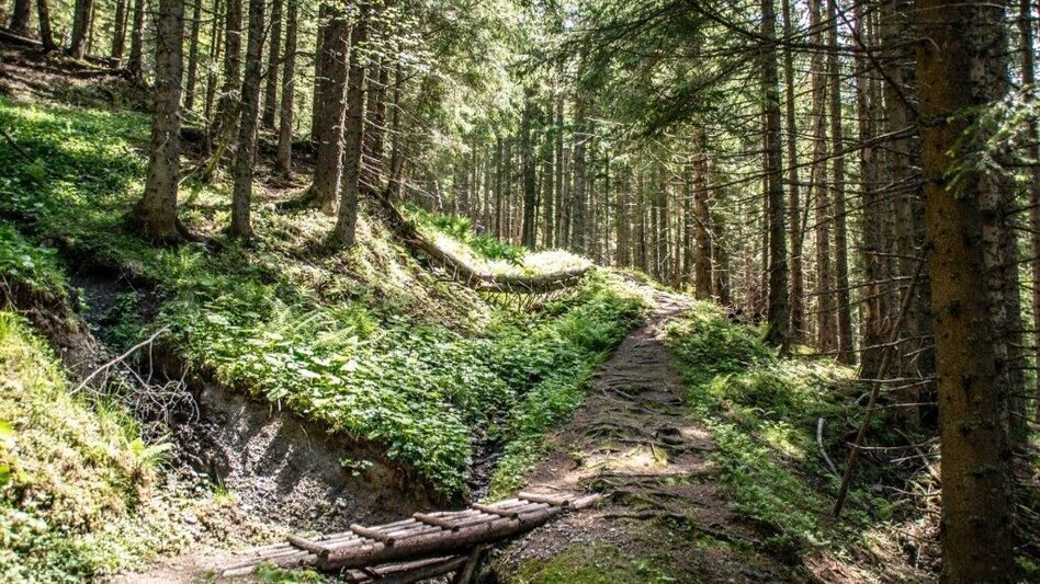 Hiking Route Kaiserau-Klinkehütte - Lahngang-Wagenbänkrunde - Touren-Impression #2.14 | © TV Gesäuse