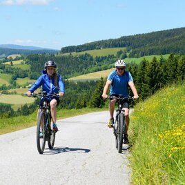 Der große Jogl: Variante 2: über die Wildwiese_Miesenbach_Oststeiermark | © Oststeiermark Tourismus